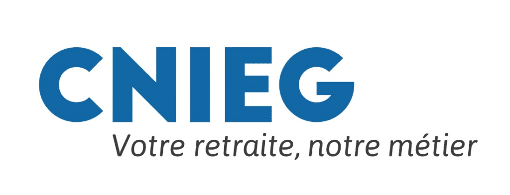 logo cnieg